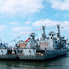Willem van der Zaan (F829)